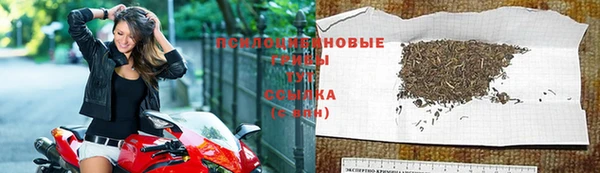 круглые Алексеевка