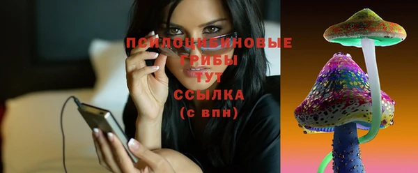 круглые Алексеевка