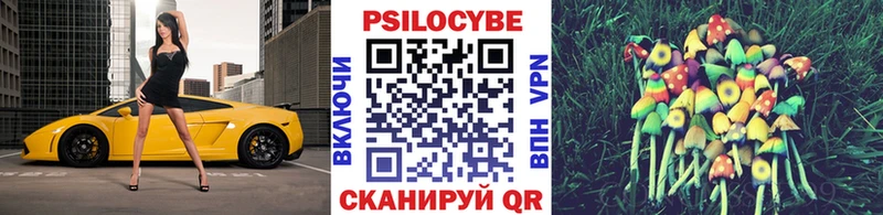 Галлюциногенные грибы прущие грибы Сосновый Бор