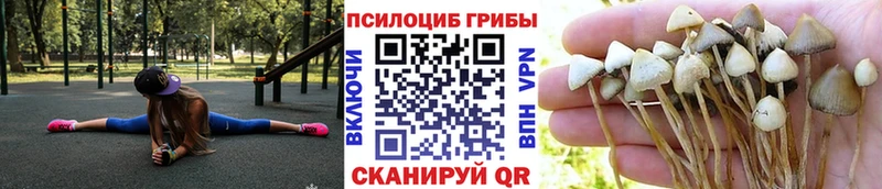 Псилоцибиновые грибы Magic Shrooms как найти наркотики Сосновый Бор