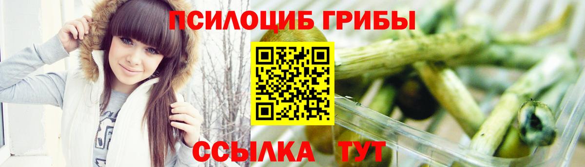 Галлюциногенные грибы Magic Shrooms  Вход с VPN  Галлюциногенные грибы GOLDEN TEACHER  Сосновый Бор 