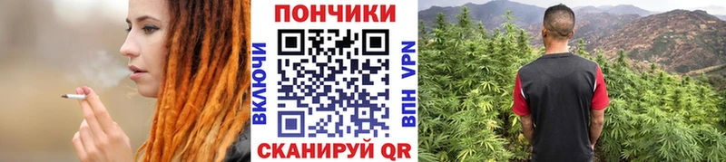 Каннабис Bruce Banner Сосновый Бор